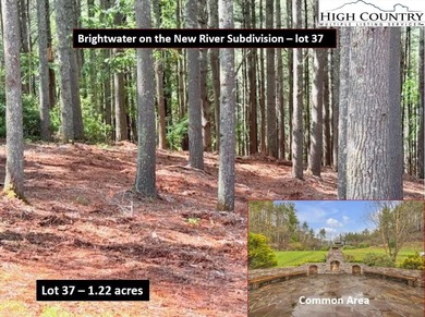 (private lake, pond, coastal) Lot For Sale in West Jefferson North Carolina