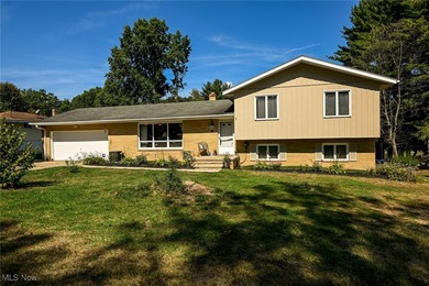 Lake Home For Sale in New Franklin, Ohio