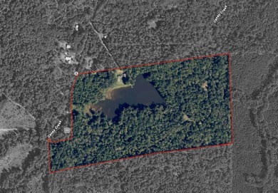 Lake Acreage For Sale in Grapeland, Texas