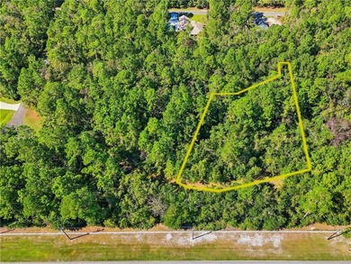 Private lot located in Satilla River Landing. Parcel 077B 111 is - photo 1