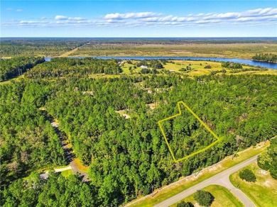 Private lot located in Satilla River Landing. Parcel 077B 111 is - photo 5