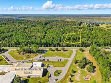 Private lot located in Satilla River Landing. Parcel 077B 111 is - photo 7