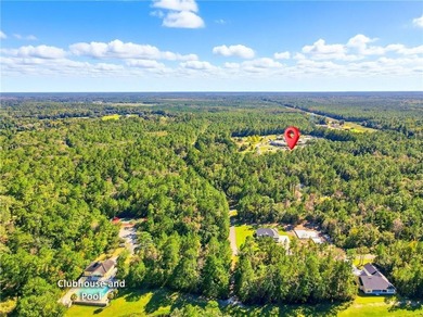 Private lot located in Satilla River Landing. Parcel 077B 111 is - photo 10