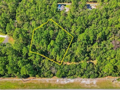 Private lot located in Satilla River Landing. Parcel 077B 110 is - photo 1