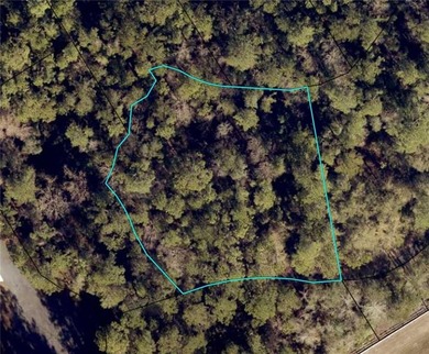 Private lot located in Satilla River Landing. Parcel 077B 110 is - photo 2