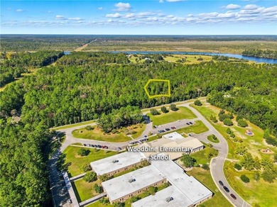 Private lot located in Satilla River Landing. Parcel 077B 110 is - photo 6