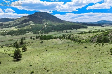 (private lake, pond, creek) Acreage For Sale in Guffey Colorado