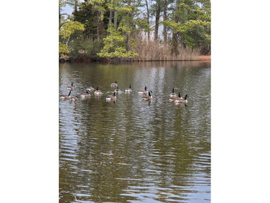 WOW!! Just listed large beautiful corner lot with Mallard Pond - photo 11