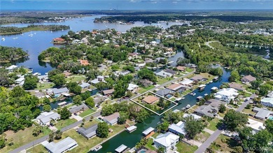 The sixties were an exciting time in Crystal River! A new - photo 12