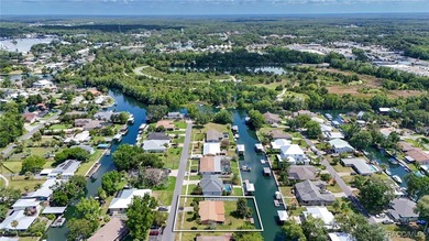 The sixties were an exciting time in Crystal River! A new - photo 13