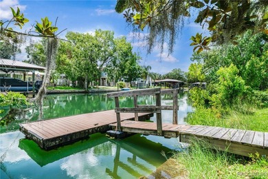 The sixties were an exciting time in Crystal River! A new - photo 26