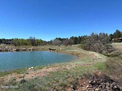 Fools Hollow Lake Lot For Sale in Show Low Arizona