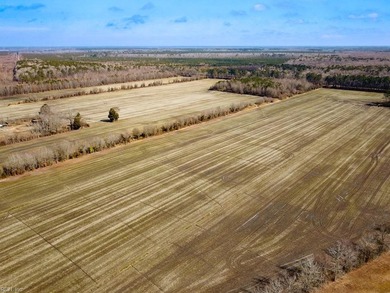 Exceptional 118 acre investment opportunity in southern - photo 11