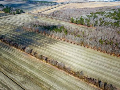Exceptional 118 acre investment opportunity in southern - photo 15