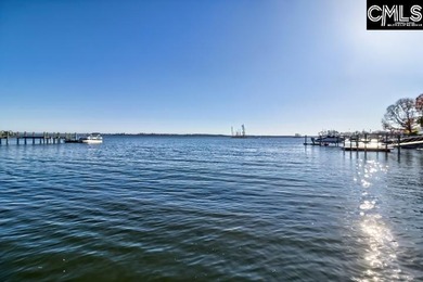 Beautiful lake-front estate. Multi-generational home with lower - photo 19