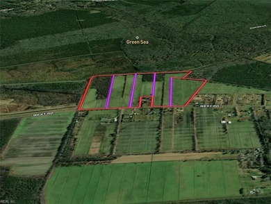 Exceptional 118 acre investment opportunity in southern - photo 21