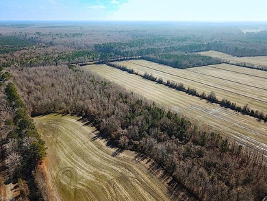 Exceptional 118 acre investment opportunity in southern - photo 22