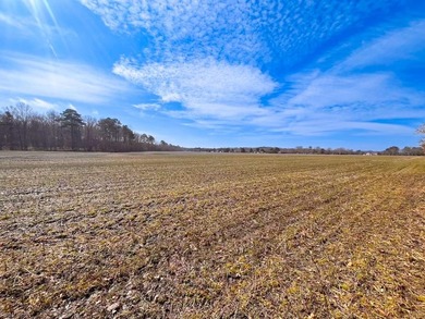 Exceptional 118 acre investment opportunity in southern - photo 25