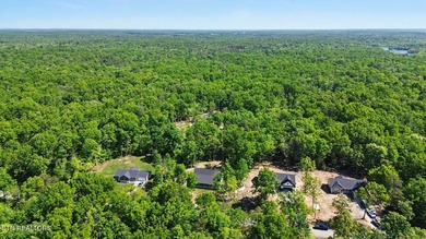 Welcome home to this stunning brand-new construction in the - photo 32