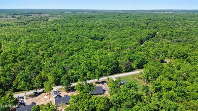 Welcome home to this stunning brand-new construction in the - photo 34