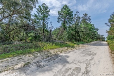 This 4.59 acre parcel falls within the Interchange Management - photo 5