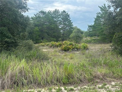 This 4.59 acre parcel falls within the Interchange Management - photo 6
