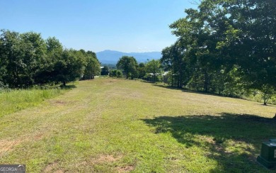 Lake Lot For Sale in Hayesville, North Carolina