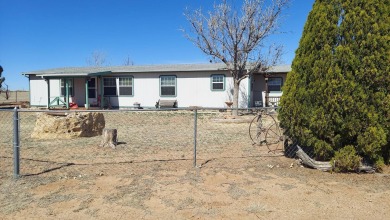 Ute Lake Home For Sale in Logan New Mexico