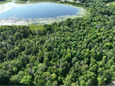 Lake Acreage For Sale in Hackensack, Minnesota