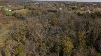 **Click on the *Virtual Tour* section to see the video walk - photo 16