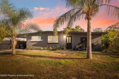 (private lake, pond, creek) Home For Sale in Spring Hill Florida