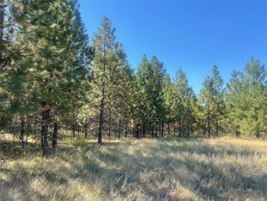 Flathead Lake Acreage For Sale in Polson Montana