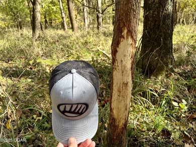 (private lake, pond, creek) Acreage Sale Pending in Carthage Missouri