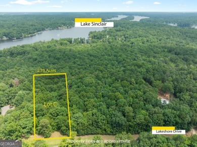 Lake Acreage For Sale in Eatonton, Georgia
