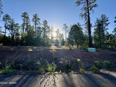 Show Low Lake Commercial For Sale in Lakeside Arizona