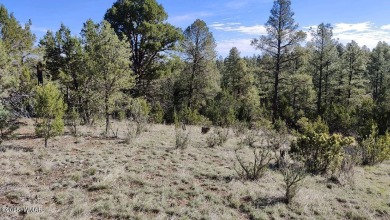 (private lake, pond, creek) Lot For Sale in Overgaard Arizona