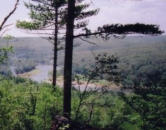 Delaware River - Sullivan County Acreage For Sale in Glen Spey New York