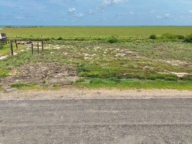 Build your dream home on this affordable 100' x 100' homesite - photo 11