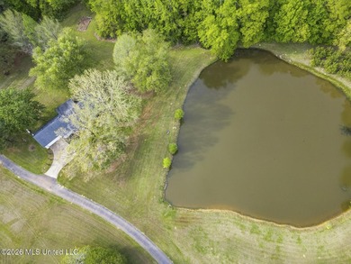 TWO homes, acreage and a pond! One home offers approximately 2 - photo 12