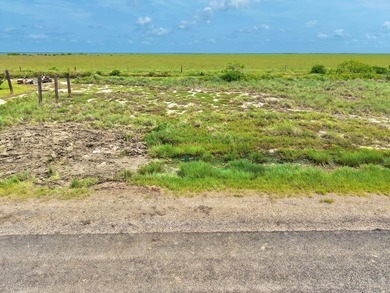 Build your dream home on this affordable 100' x 100' homesite - photo 12