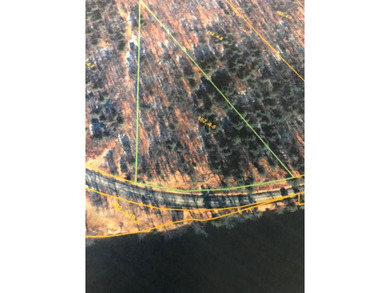 Masonville Pond Acreage For Sale in Masonville New York