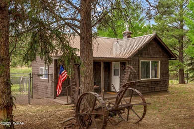Little Colorado River Home For Sale in Greer Arizona