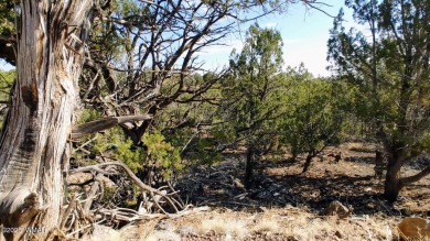Lake Lot For Sale in Show Low, Arizona