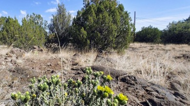 Lake Lot For Sale in Show Low, Arizona
