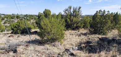 Lake Lot For Sale in Show Low, Arizona
