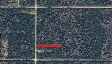 ALMOST 3 ACRES!!!! Set on a beautiful 2.81-acre corner lot, this - photo 3