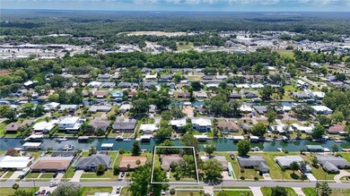 The sixties were an exciting time in Crystal River! A new - photo 41