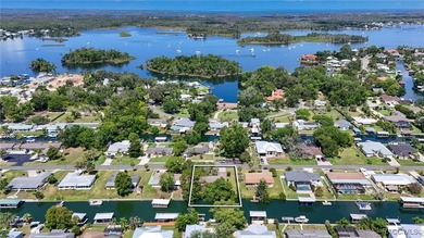 The sixties were an exciting time in Crystal River! A new - photo 42