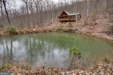 Lake Home For Sale in Morganton, Georgia