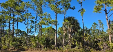Port Charlotte Waterway Area Lot For Sale in Port Charlotte Florida
